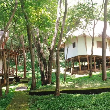 Tuani Ecolodge Tola Luaran gambar