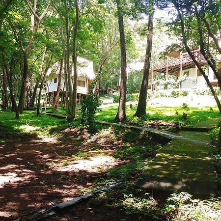 Tuani Ecolodge Tola Luaran gambar