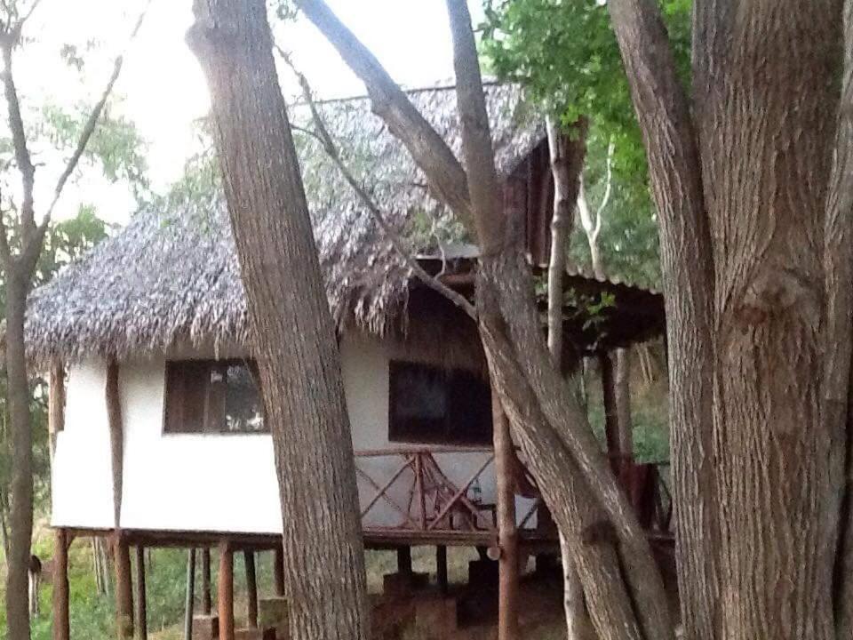 Tuani Ecolodge Tola Luaran gambar