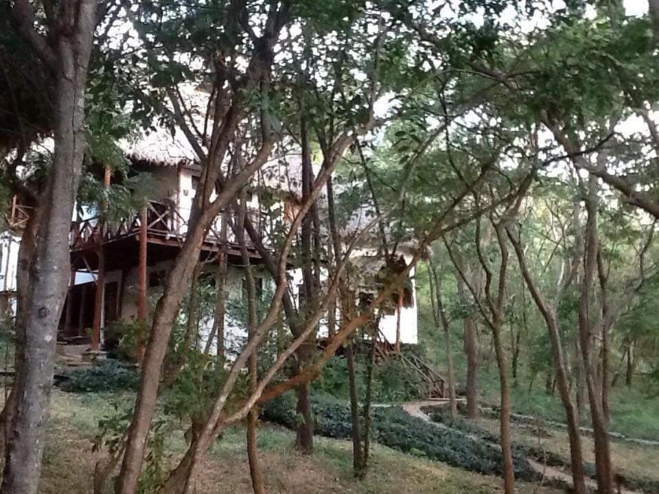 Tuani Ecolodge Tola Luaran gambar