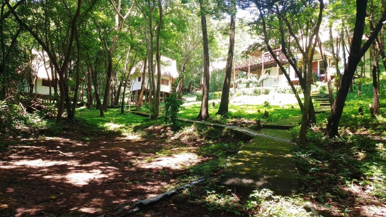 Tuani Ecolodge Tola Luaran gambar